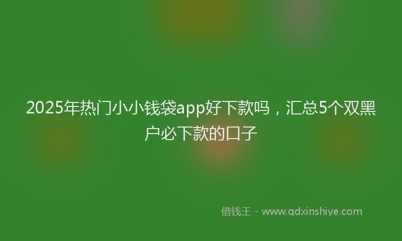 2025年热门小小钱袋app好下款吗，汇总5个双黑户必下款的口子