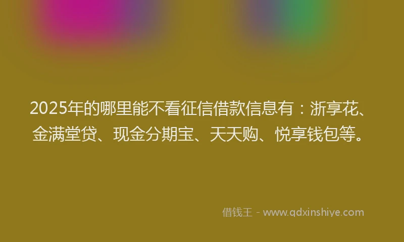 2025年的哪里能不看征信借款信息有：浙享花、金满堂贷、现金分期宝、天天购、悦享钱包等。