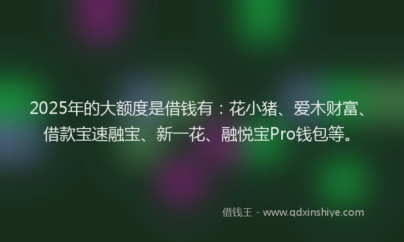 2025年的大额度是借钱有：花小猪、爱木财富、借款宝速融宝、新一花、融悦宝Pro钱包等。