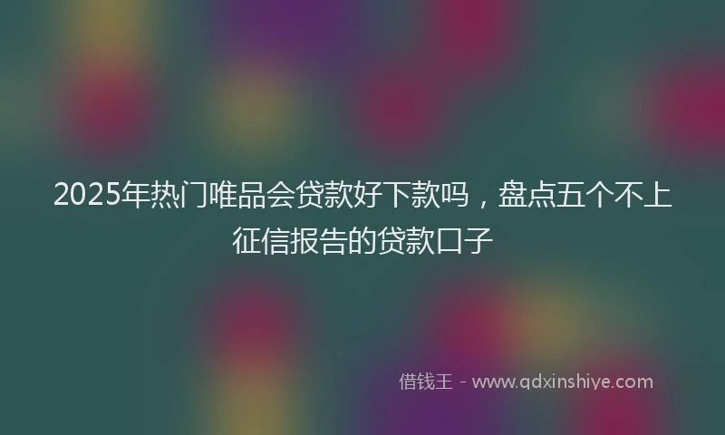 2025年热门唯品会贷款好下款吗，盘点五个不上征信报告的贷款口子