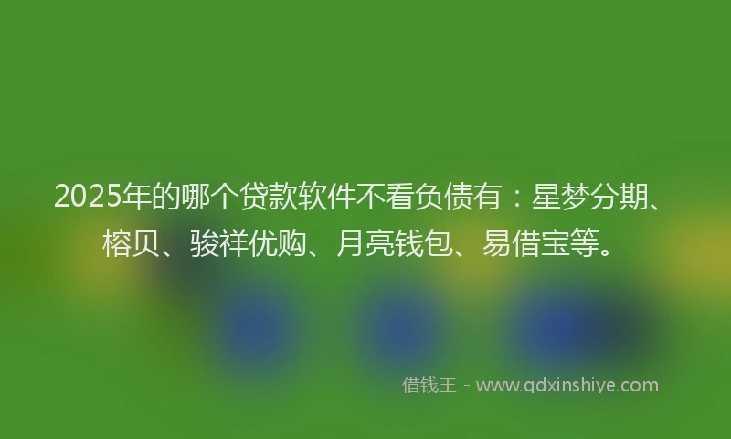 2025年的哪个贷款软件不看负债有：星梦分期、榕贝、骏祥优购、月亮钱包、易借宝等。