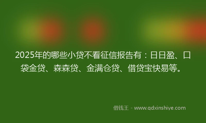 2025年的哪些小贷不看征信报告有：日日盈、口袋金贷、森森贷、金满仓贷、借贷宝快易等。
