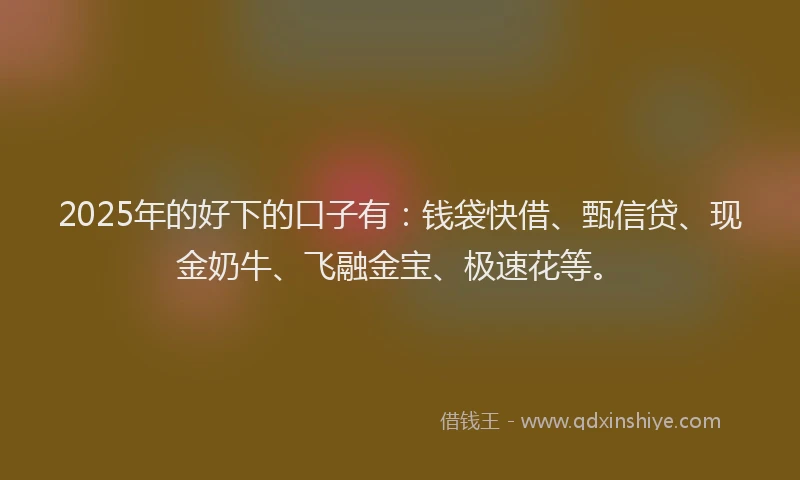 2025年的好下的口子有：钱袋快借、甄信贷、现金奶牛、飞融金宝、极速花等。
