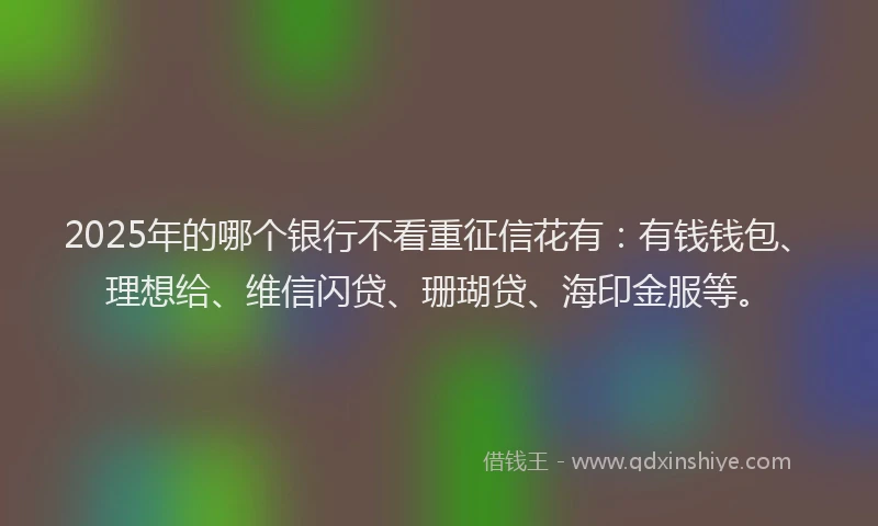 2025年的哪个银行不看重征信花有：有钱钱包、理想给、维信闪贷、珊瑚贷、海印金服等。