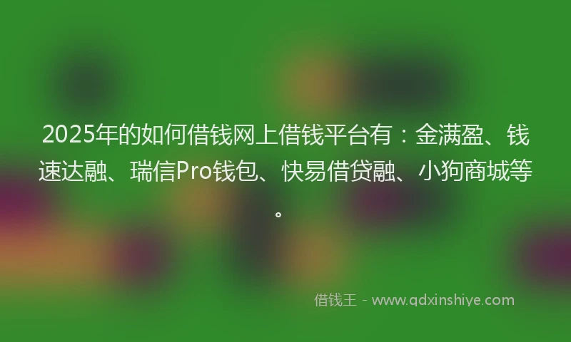 2025年的如何借钱网上借钱平台有：金满盈、钱速达融、瑞信Pro钱包、快易借贷融、小狗商城等。