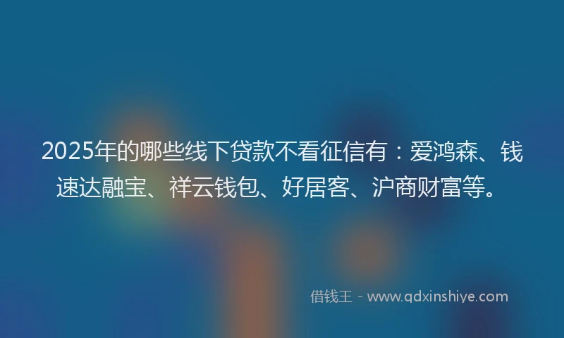 2025年的哪些线下贷款不看征信有：爱鸿森、钱速达融宝、祥云钱包、好居客、沪商财富等。