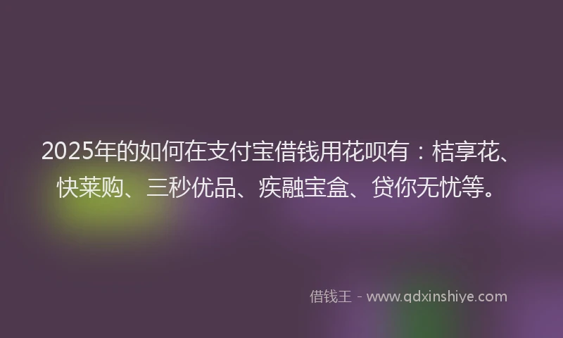 2025年的如何在支付宝借钱用花呗有：桔享花、快莱购、三秒优品、疾融宝盒、贷你无忧等。