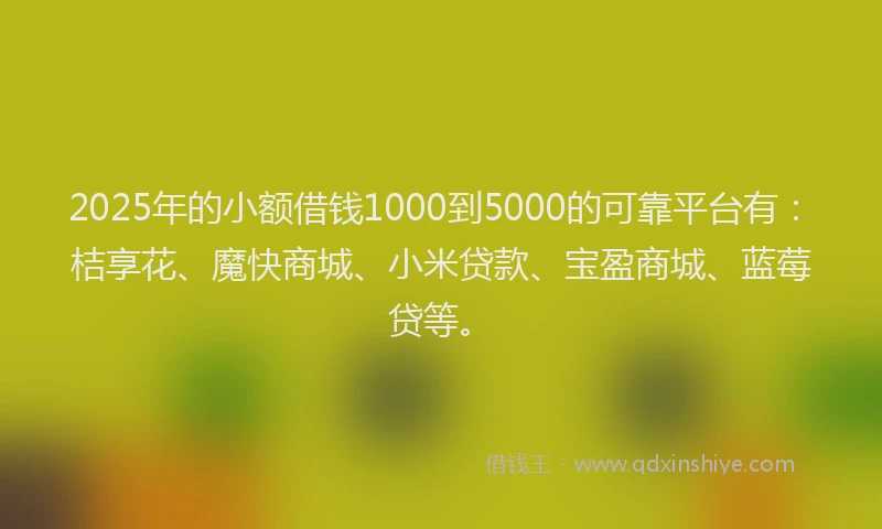 2025年的小额借钱1000到5000的可靠平台有：桔享花、魔快商城、小米贷款、宝盈商城、蓝莓贷等。