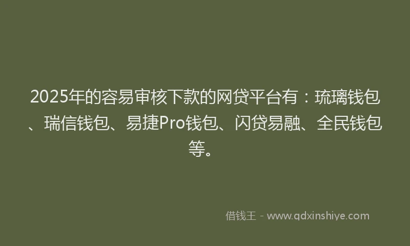 2025年的容易审核下款的网贷平台有：琉璃钱包、瑞信钱包、易捷Pro钱包、闪贷易融、全民钱包等。