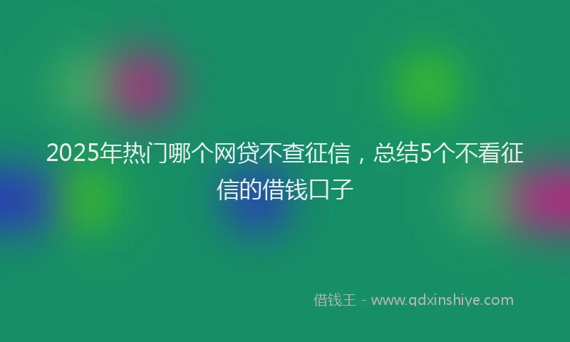 2025年热门哪个网贷不查征信，总结5个不看征信的借钱口子