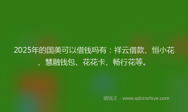 2025年的国美可以借钱吗有：祥云借款、恒小花、慧融钱包、花花卡、畅行花等。