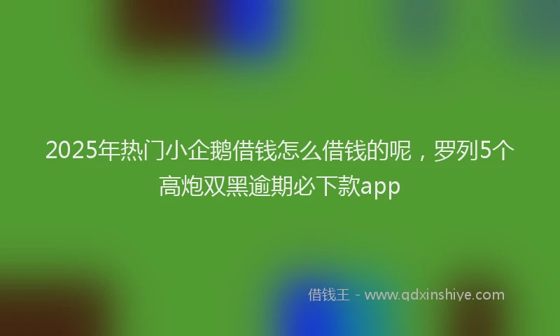 2025年热门小企鹅借钱怎么借钱的呢，罗列5个高炮双黑逾期必下款app