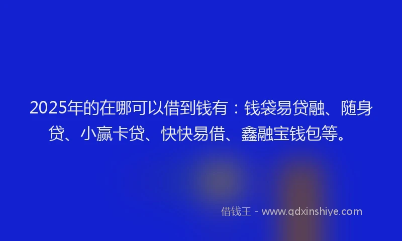 2025年的在哪可以借到钱有：钱袋易贷融、随身贷、小赢卡贷、快快易借、鑫融宝钱包等。