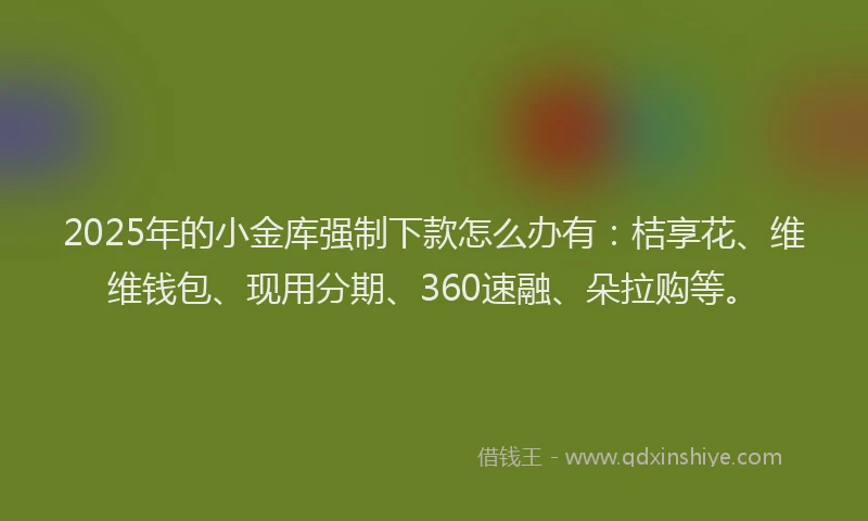 2025年的小金库强制下款怎么办有：桔享花、维维钱包、现用分期、360速融、朵拉购等。