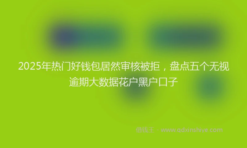 2025年热门好钱包居然审核被拒，盘点五个无视逾期大数据花户黑户口子
