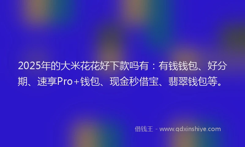 2025年的大米花花好下款吗有：有钱钱包、好分期、速享Pro+钱包、现金秒借宝、翡翠钱包等。