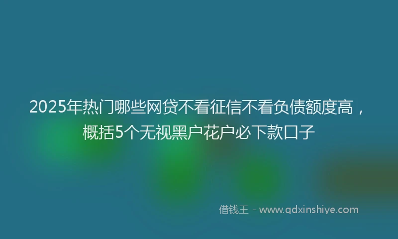 2025年热门哪些网贷不看征信不看负债额度高，概括5个无视黑户花户必下款口子