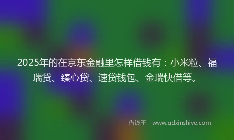 2025年的在京东金融里怎样借钱有：小米粒、福瑞贷、臻心贷、速贷钱包、金瑞快借等。