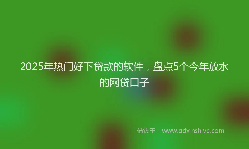 2025年热门好下贷款的软件，盘点5个今年放水的网贷口子