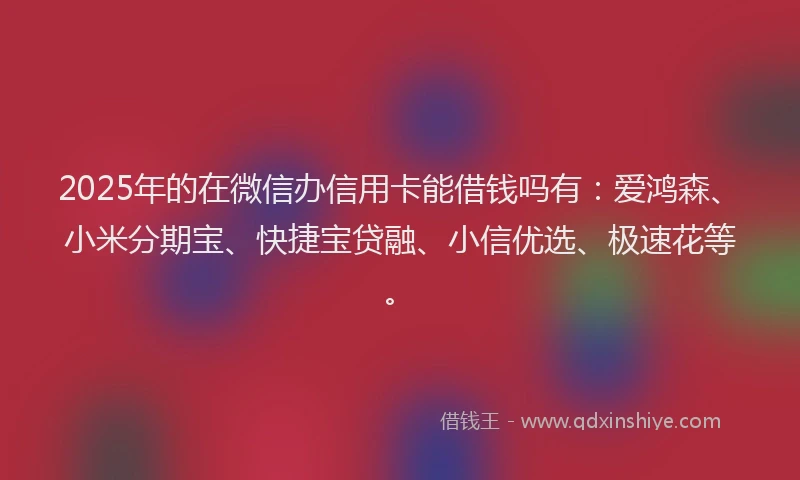 2025年的在微信办信用卡能借钱吗有：爱鸿森、小米分期宝、快捷宝贷融、小信优选、极速花等。