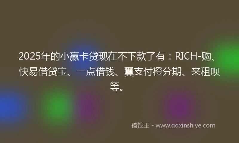 2025年的小赢卡贷现在不下款了有：RICH-购、快易借贷宝、一点借钱、翼支付橙分期、来租呗等。