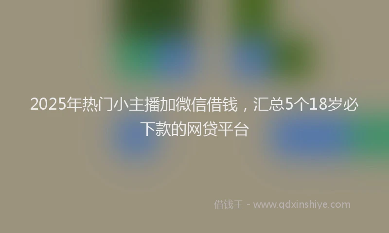 2025年热门小主播加微信借钱,汇总5个18岁必下款的网贷平台