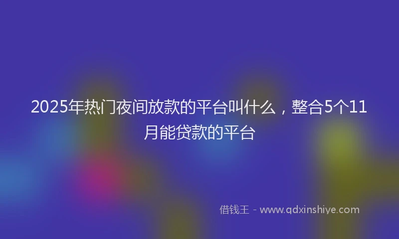 2025年热门夜间放款的平台叫什么，整合5个11月能贷款的平台