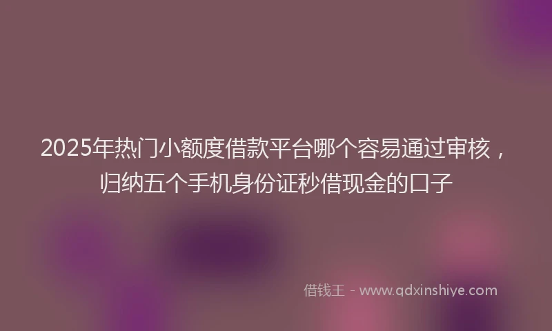 2025年热门小额度借款平台哪个容易通过审核，归纳五个手机身份证秒借现金的口子