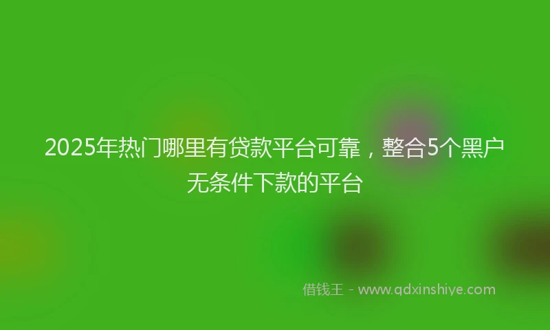 2025年热门哪里有贷款平台可靠，整合5个黑户无条件下款的平台