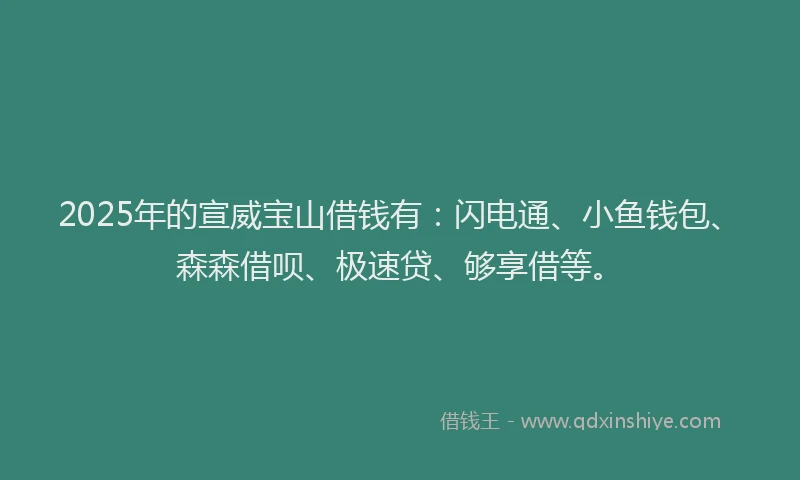 2025年的宣威宝山借钱有：闪电通、小鱼钱包、森森借呗、极速贷、够享借等。
