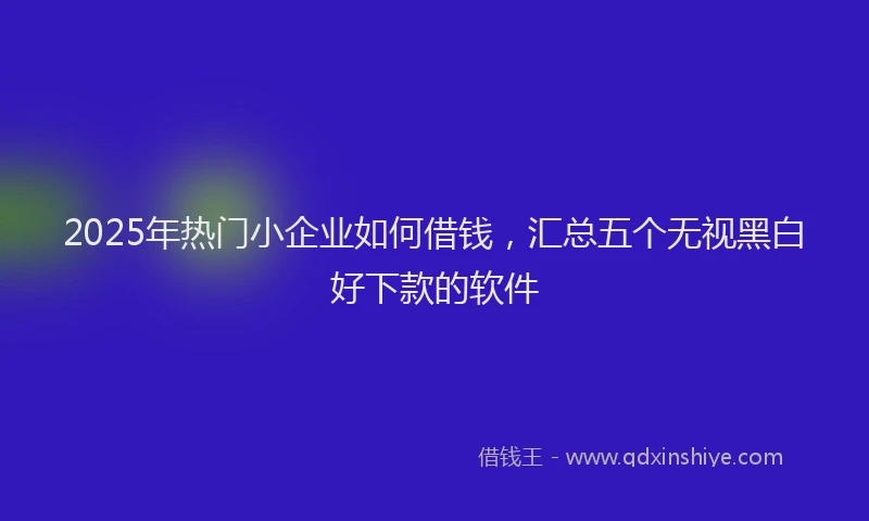 2025年热门小企业如何借钱，汇总五个无视黑白好下款的软件