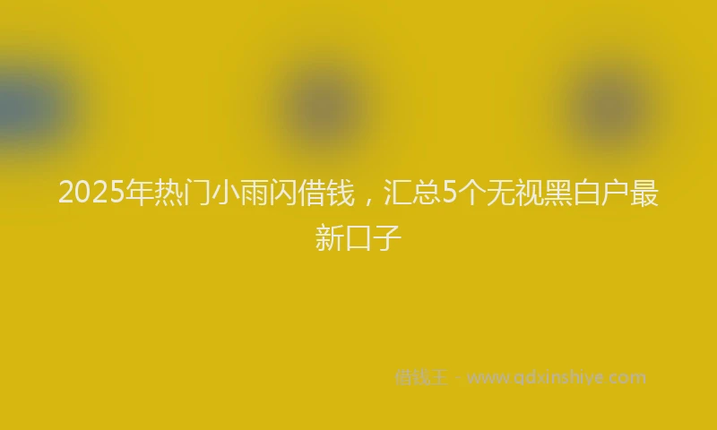 2025年热门小雨闪借钱，汇总5个无视黑白户最新口子