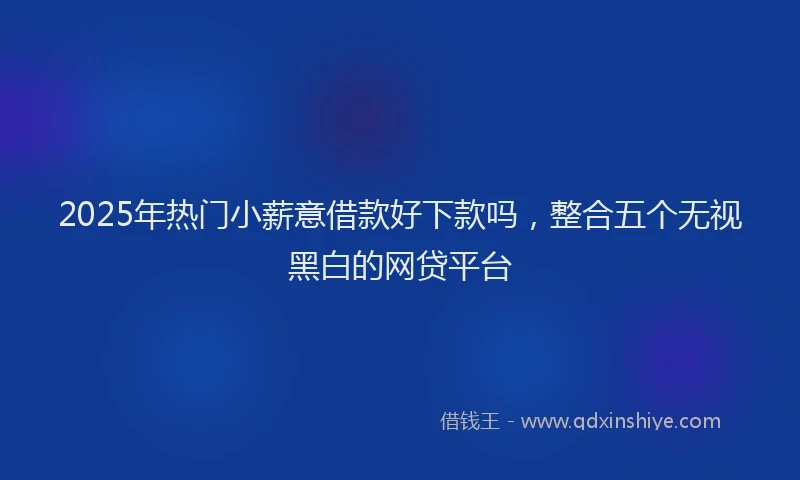 2025年热门小薪意借款好下款吗，整合五个无视黑白的网贷平台