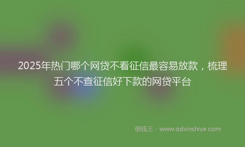 2025年热门哪个网贷不看征信最容易放款，梳理五个不查征信好下款的网贷平台