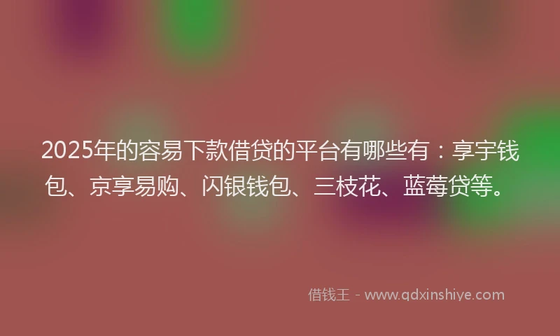 2025年的容易下款借贷的平台有哪些有：享宇钱包、京享易购、闪银钱包、三枝花、蓝莓贷等。