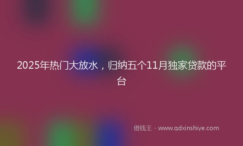 2025年热门大放水，归纳五个11月独家贷款的平台