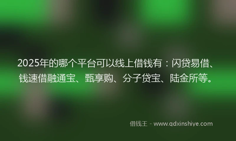2025年的哪个平台可以线上借钱有：闪贷易借、钱速借融通宝、甄享购、分子贷宝、陆金所等。