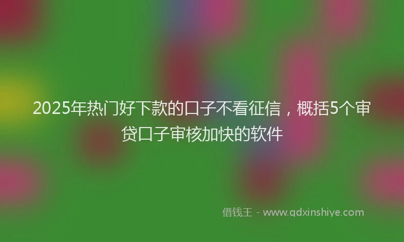 2025年热门好下款的口子不看征信，概括5个审贷口子审核加快的软件
