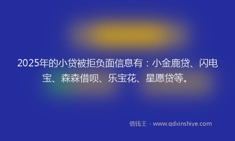 2025年的小贷被拒负面信息有：小金鹿贷、闪电宝、森森借呗、乐宝花、星愿贷等。