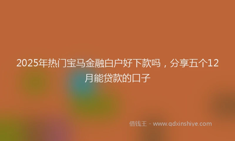 2025年热门宝马金融白户好下款吗，分享五个12月能贷款的口子