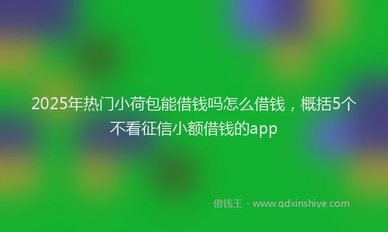 2025年热门小荷包能借钱吗怎么借钱，概括5个不看征信小额借钱的app
