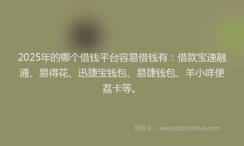 2025年的哪个借钱平台容易借钱有：借款宝速融通、易得花、迅捷宝钱包、易捷钱包、羊小咩便荔卡等。