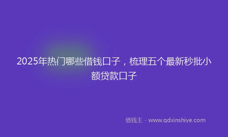 2025年热门哪些借钱口子，梳理五个最新秒批小额贷款口子