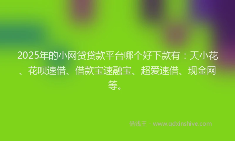 2025年的小网贷贷款平台哪个好下款有：天小花、花呗速借、借款宝速融宝、超爱速借、现金网等。