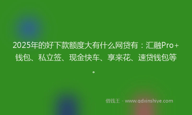 2025年的好下款额度大有什么网贷有：汇融Pro+钱包、私立签、现金快车、享来花、速贷钱包等。