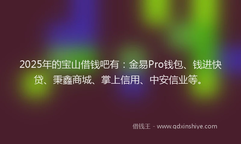 2025年的宝山借钱吧有：金易Pro钱包、钱进快贷、秉鑫商城、掌上信用、中安信业等。