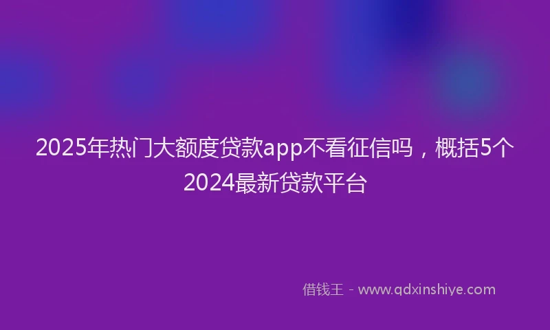 2025年热门大额度贷款app不看征信吗，概括5个2024最新贷款平台