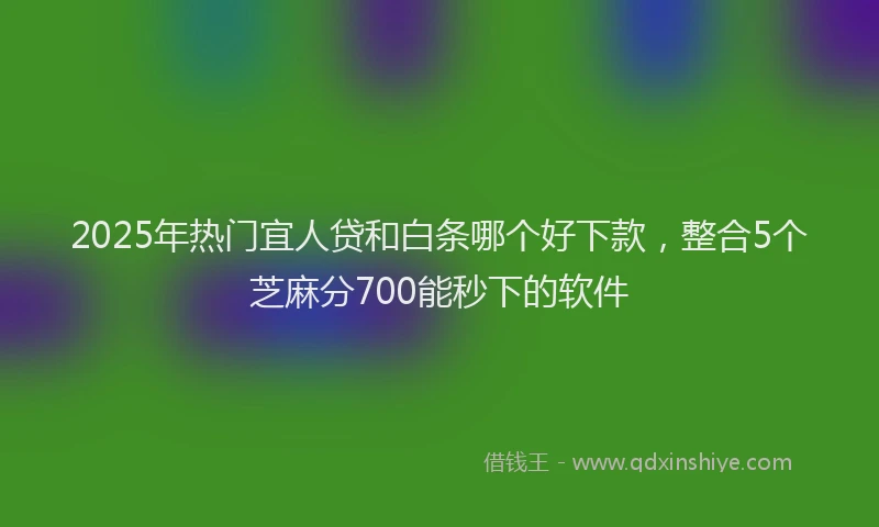 2025年热门宜人贷和白条哪个好下款，整合5个芝麻分700能秒下的软件