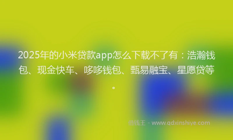 2025年的小米贷款app怎么下载不了有：浩瀚钱包、现金快车、哆哆钱包、甄易融宝、星愿贷等。