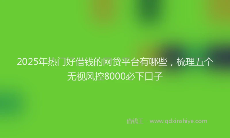 2025年热门好借钱的网贷平台有哪些，梳理五个无视风控8000必下口子